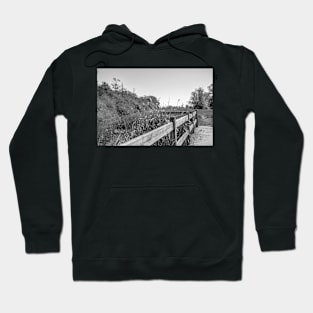 Wooden bridge alongside the River Ant, Norfolk Hoodie